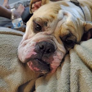 Meet your Posher, Tabitha